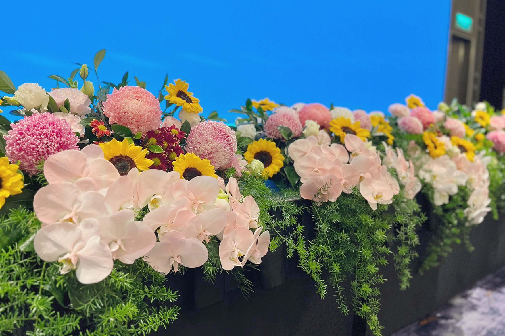 113年特優縣市頒獎典禮 運動 i 臺灣