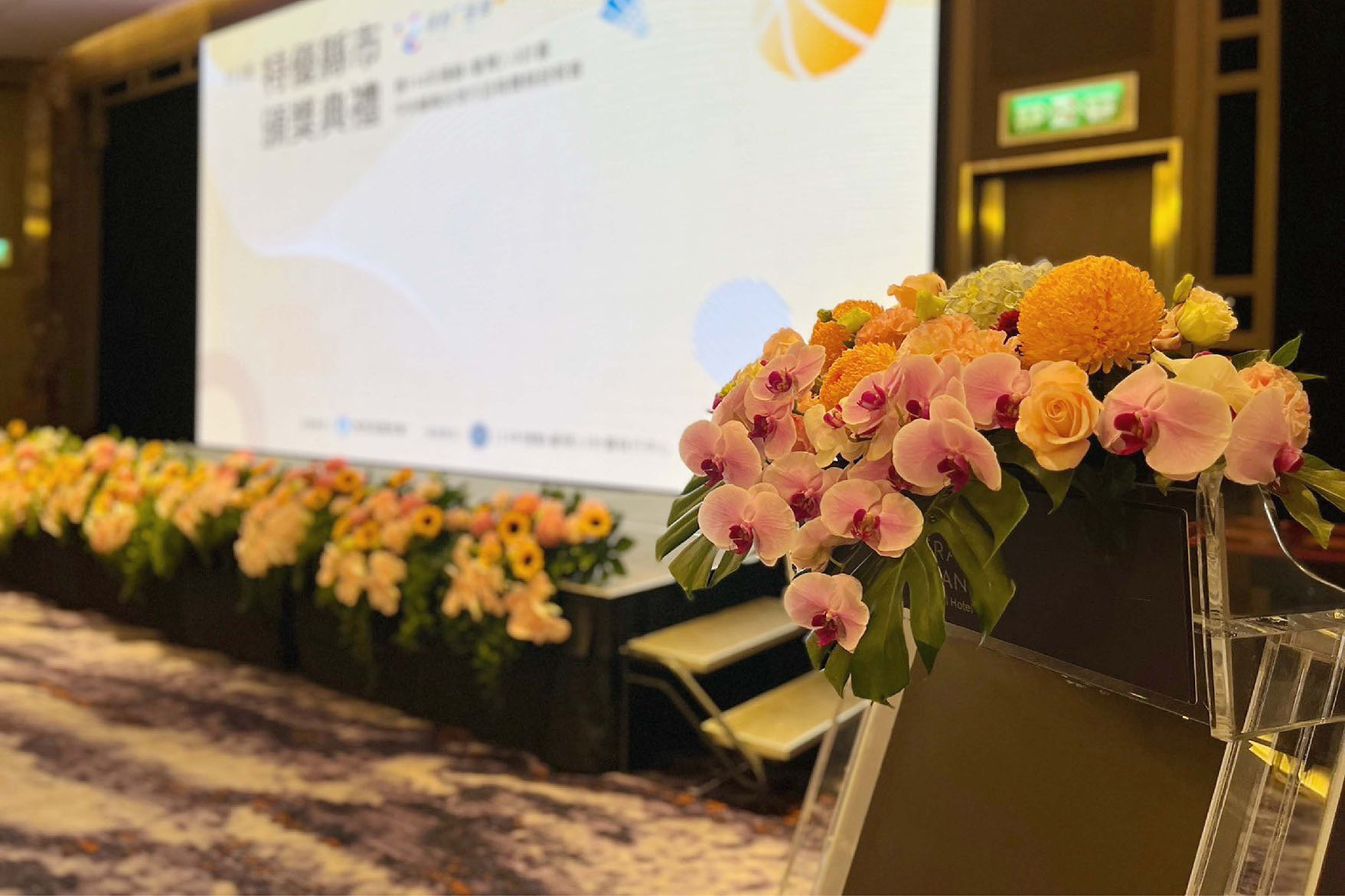 113年特優縣市頒獎典禮 運動 i 臺灣